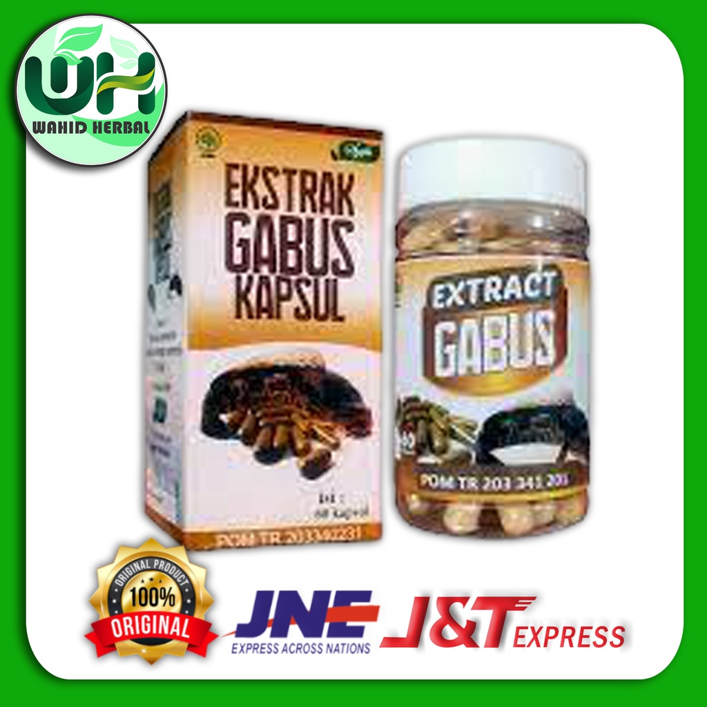 EKSTRAK GABUS KAPSUL / KAPSUL PENYEMBUH LUKA / EKSTRAK GABUS SYIFA 60 KAPSUL