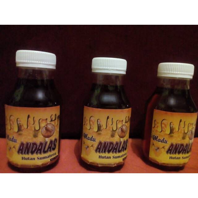 

Madu Hutan Asli Sumatera 250ml