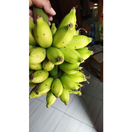 

pisang