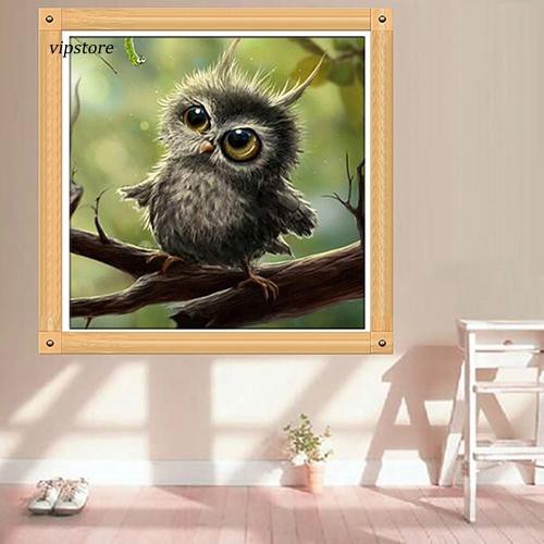 32+ Gambar burung owl terbaru