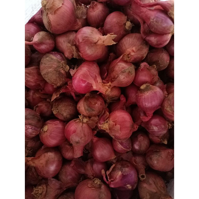 

bawang merah