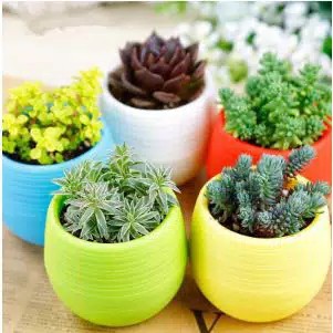 Pot Bunga Plastik / Pot Tanaman Indoor Yashinao (25gr)