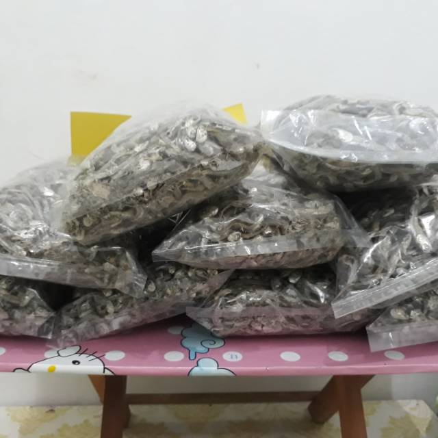 

IKAN TERI REBUS KERING