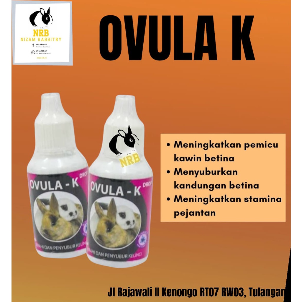 Ovula-k 30ml/Obat Birahi untuk hewan kelinci