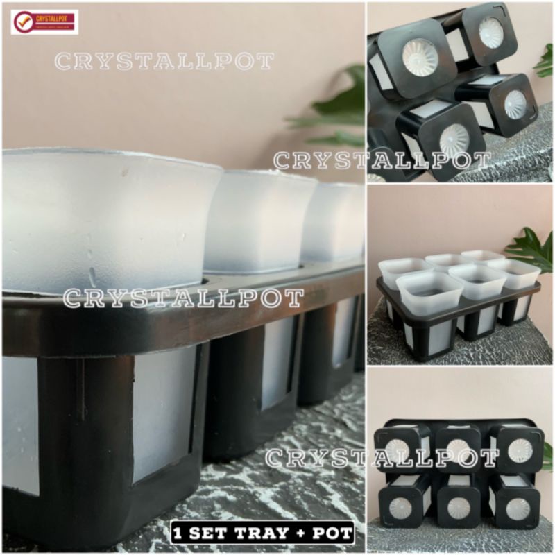 1 set Tray + POT BUNGA NKT KOTAK 7 CM BENING TRANSPARAN | tray semai bibit