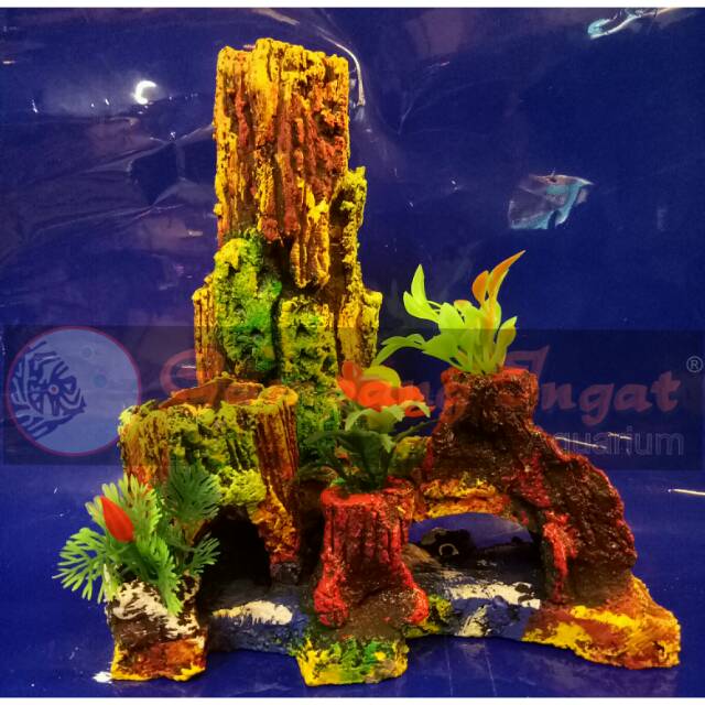 5100 Dekorasi Aquarium Air Tawar Terbaru