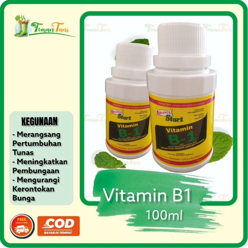 Jual PUPUK VITAMIN B1 LIQUINOX START VITAMIN B1 TANAMAN 100 ML | Shopee ...