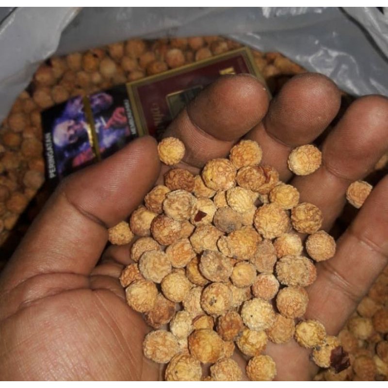 

Biji Bidara Arab Obat Ruqyah Kering 1Kg