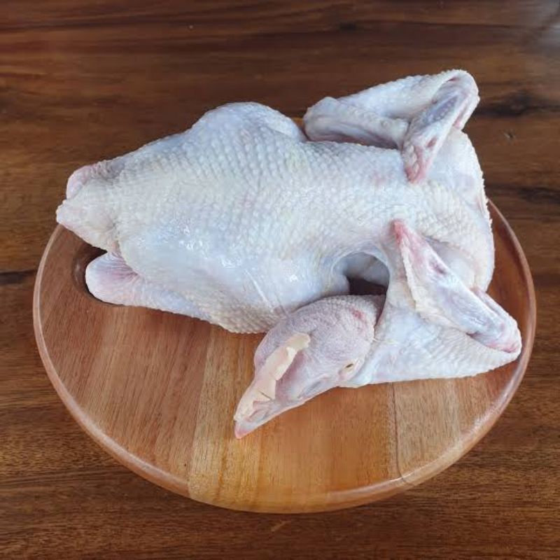 

Ayam Pejantan Segar (BARU POTONG)