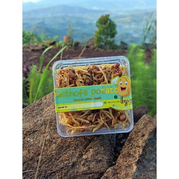 

kentang musthofa