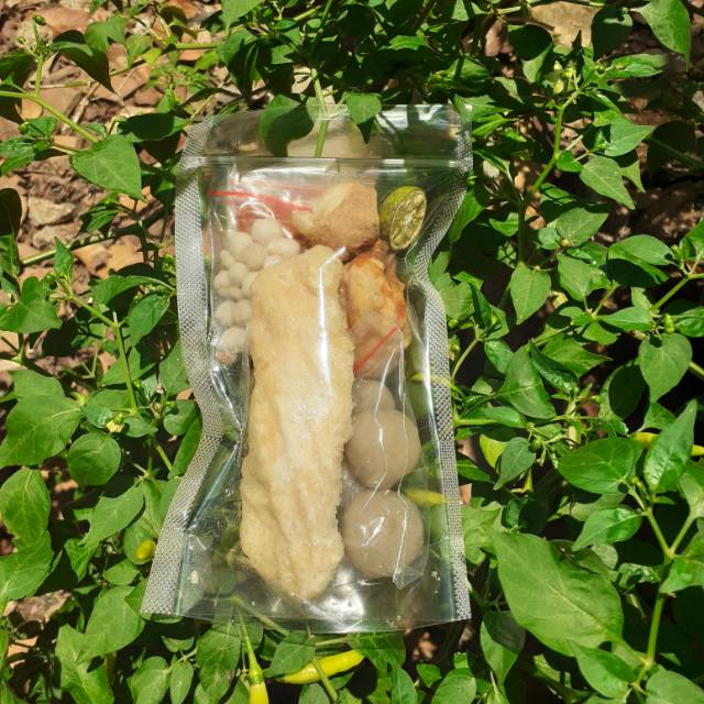 

Basoaciput