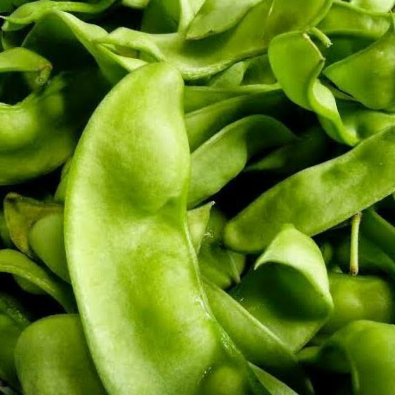 

koro hijau,koro sayur