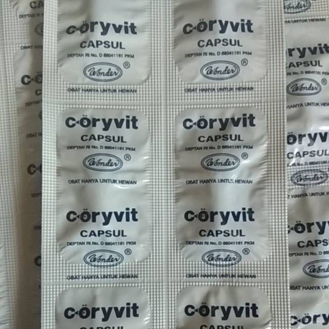 Coryvit kapsul CORIVIT Kapsul