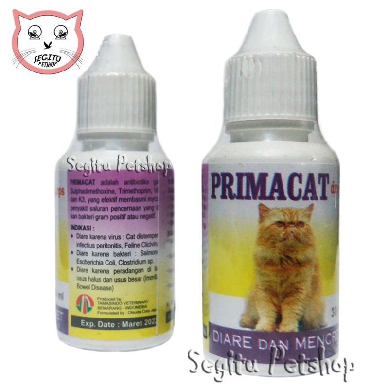 Obat Diare Mencret Kucing