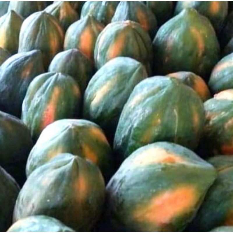 

Buah Pepaya Bangkok super manis/1buah