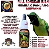 RG jamtrock raja goyang cucak ijo vitamin burung cak hijau jamtrok ngentrok