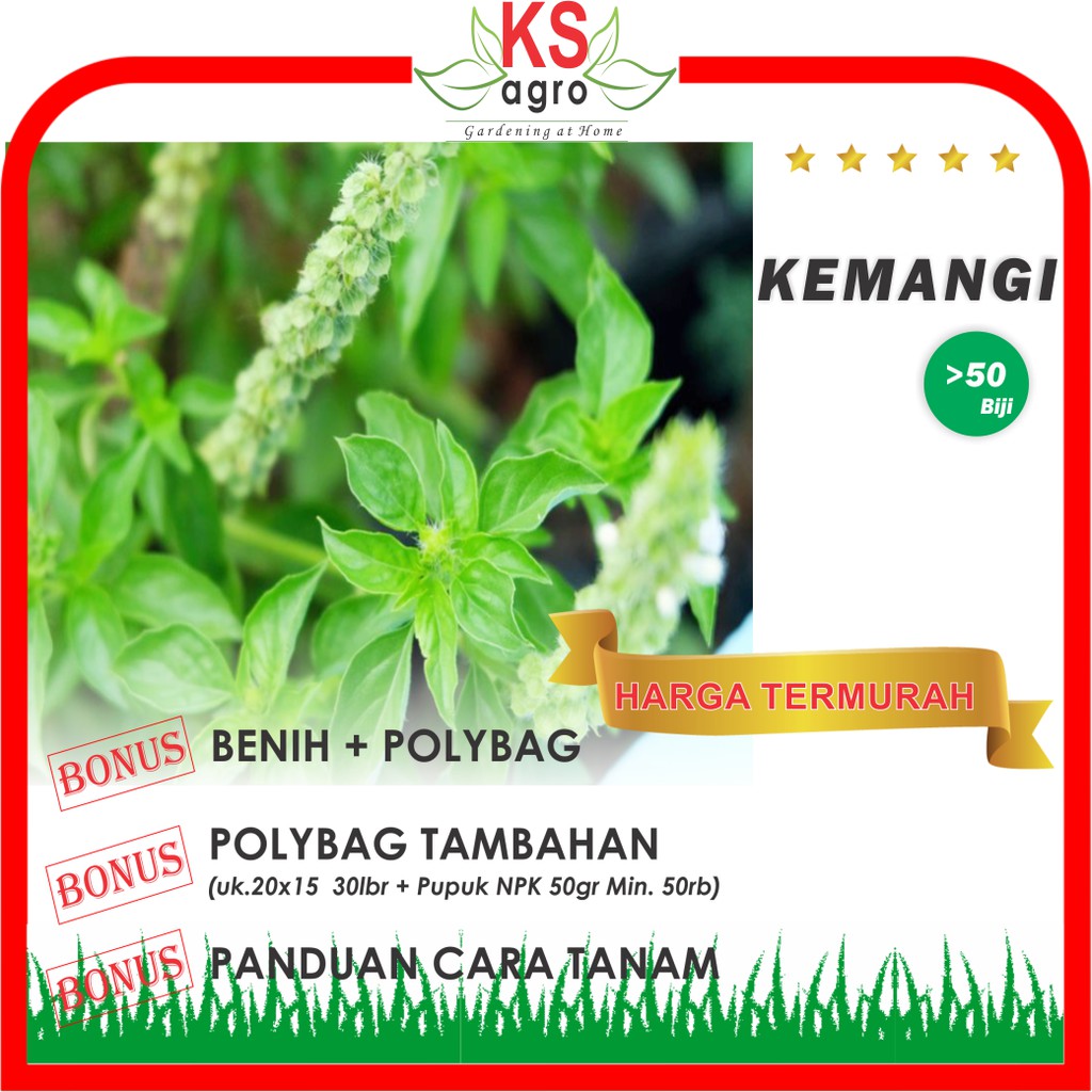 BENIH KEMANGI BIBIT SAYURAN UNGGUL