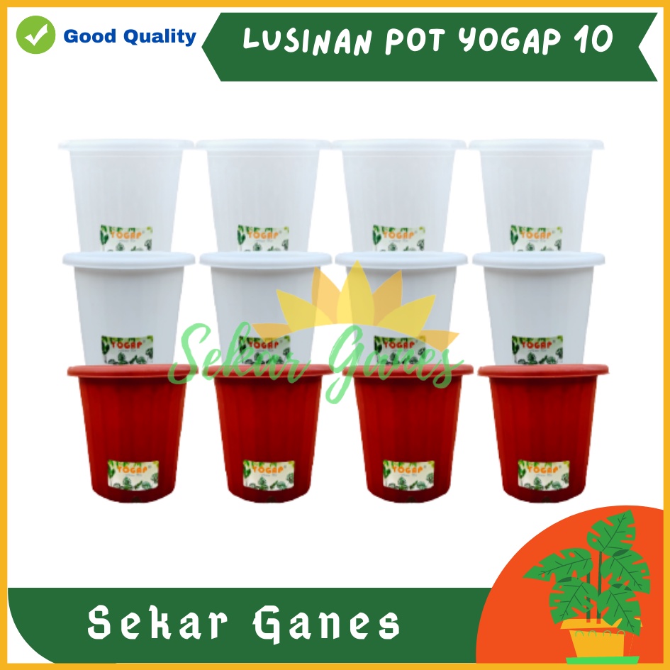 LUSINAN Pot Yogap 10 Putih Transparan Bening Merah Bata Isi 12 pcs Pot Yogap 10 13 15 17 18 19 Pot Yogap Bening LUSINAN POT YOGAP MURAH