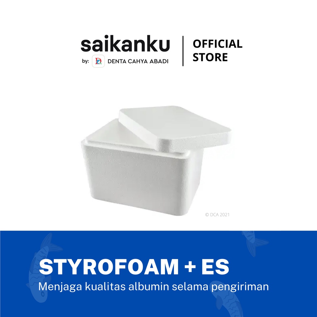 

Styrofoam - Pengaman Pengiriman - Pilihan untuk - 10 Pakcs - 15 Packs - 100 Packs