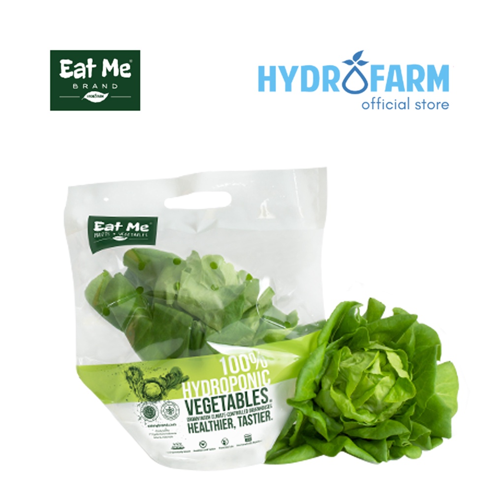 

Eat Me Brand - Selada Butterhead Lettuce (Hidroponik)
