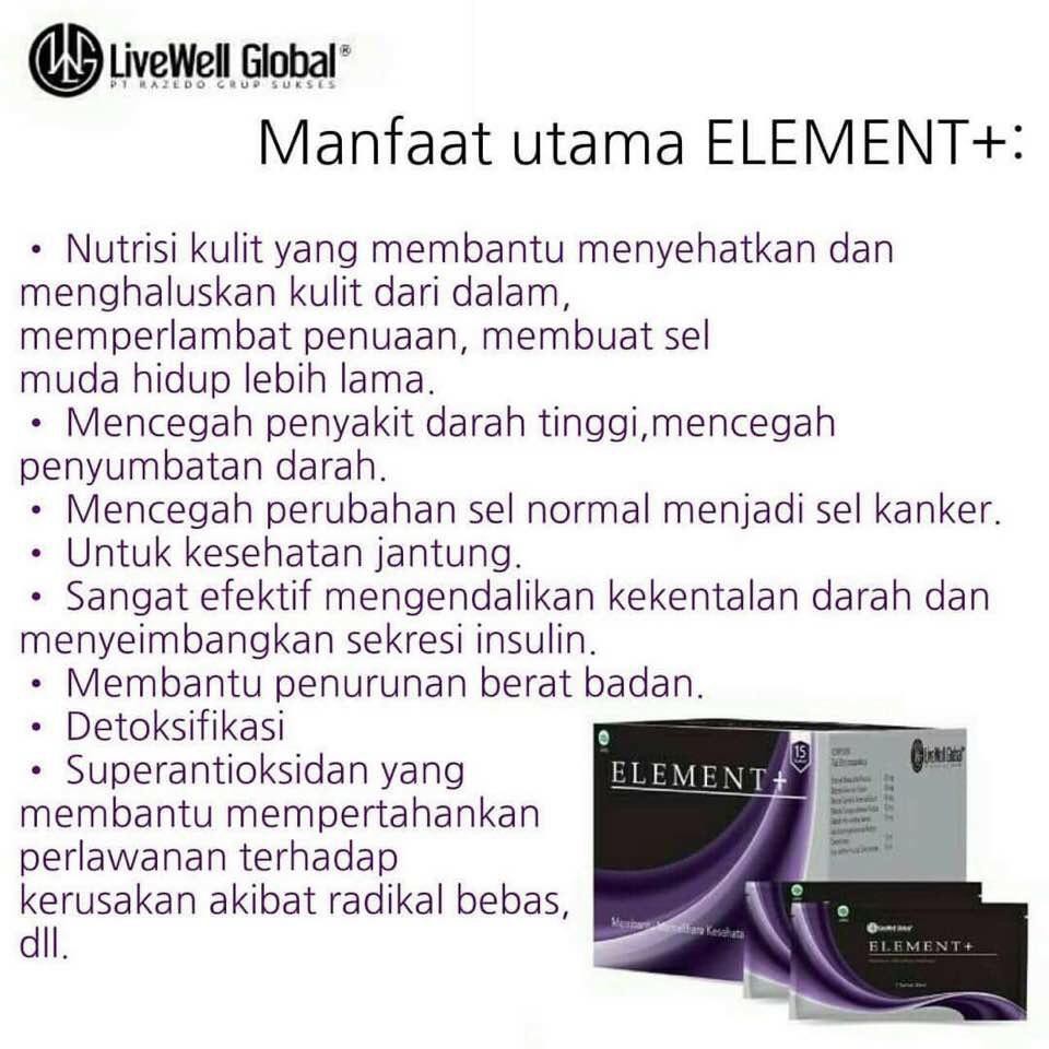 Element Plus / Element + Dijamin Ori
