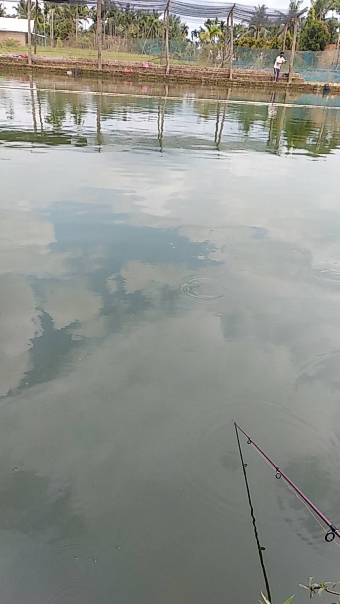 Handle Pintu Rumah Stainles Dof 25 Cm Kotak Mahoni Kayu Tarikan Pintu Gagang Pintu Kunci Pintu Maron