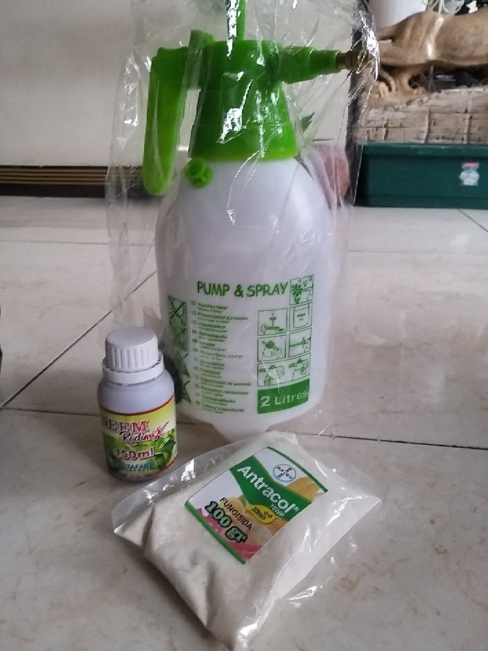 Pestisida Fungisida Insektisida Organik Neem Oil Plus - 100ml