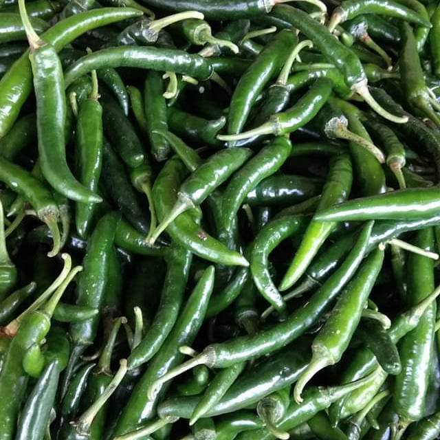 

cabe hijau 8000 per 1/2 kg