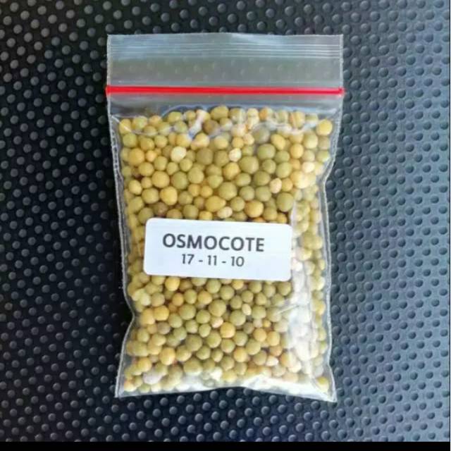 Pupuk dekastar kemasan 10gr | Shopee Indonesia