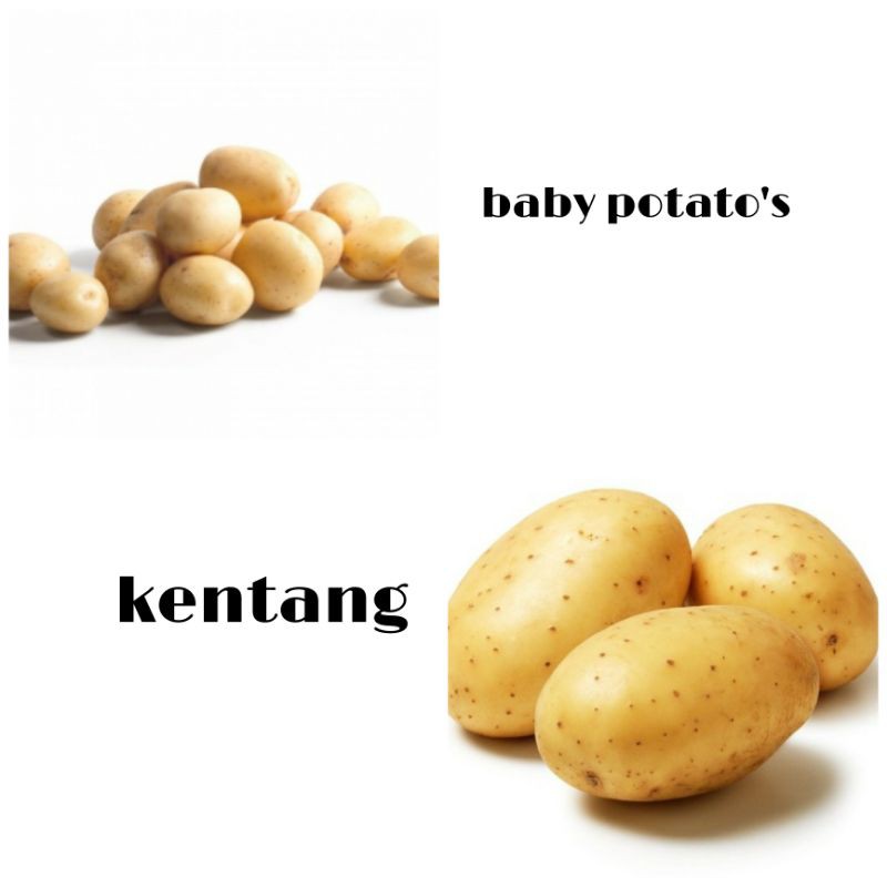 

[Sayur Segar] kentang /kentang kecil
