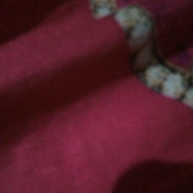 #lumut Kering/ Mos Rp 5.000/ 10 Gram