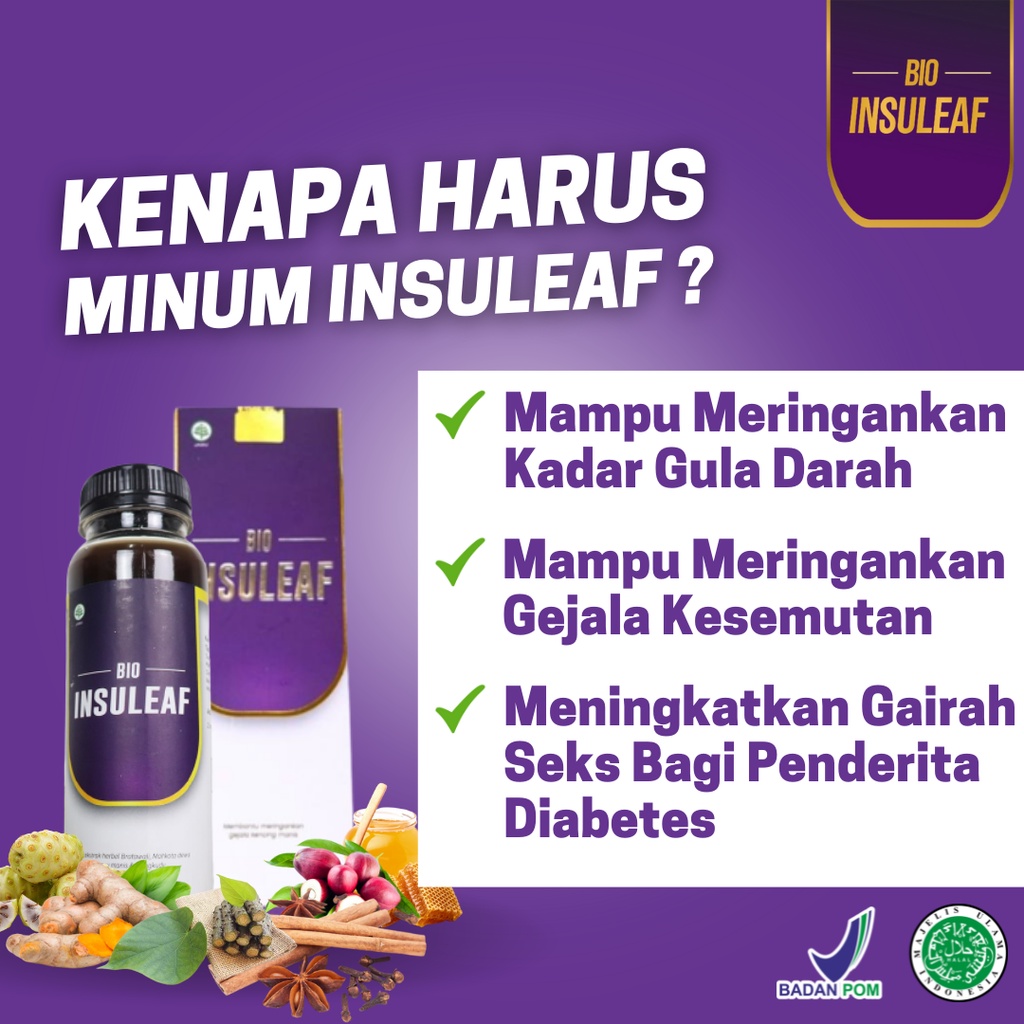 BIO INSULEAF Original Herbal Alami Turunkan Gula Darah - Ringankan Gejala Kencing Manis Solusi Atasi Diabetes 250ml