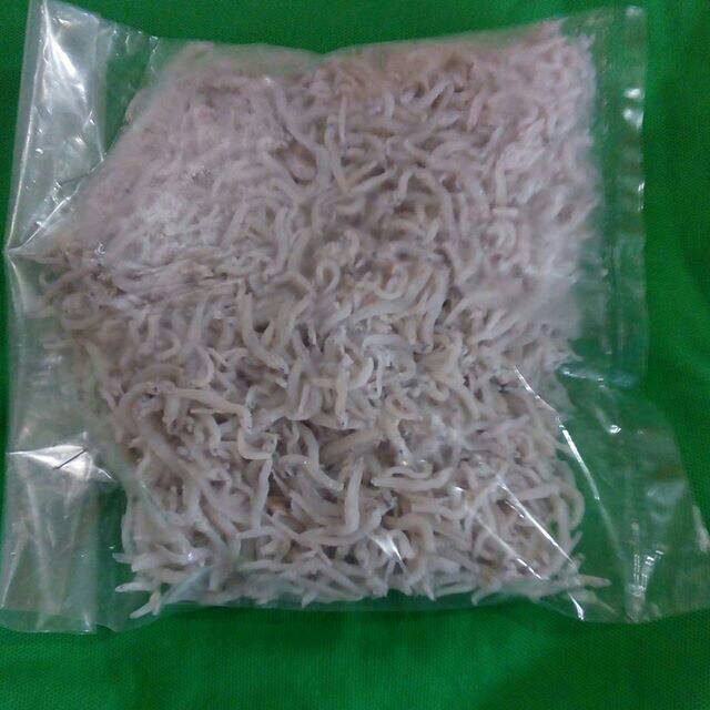 

Ikan teri nasi medan