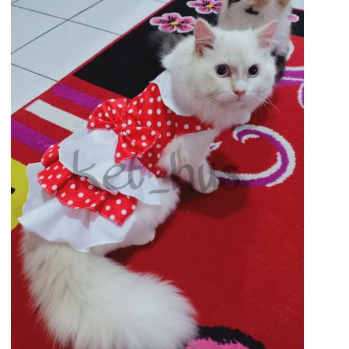 5.5 F⚡ASH SALE/Terbaru dan terlaris/【Discount Today】/Terbaru 3.3/「Termurah」 Baju Kucing Dan Anjing B