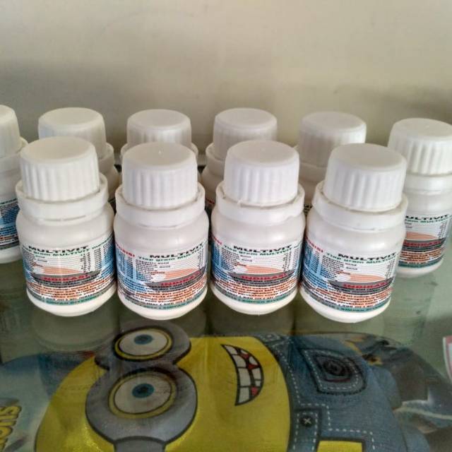 Multivitamin Vitamin Burung Import Hewan Berkwalitas