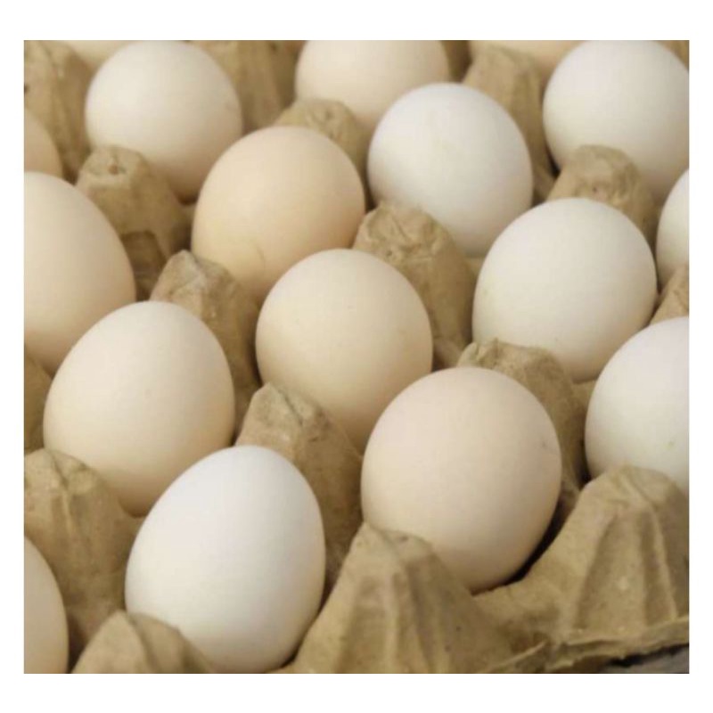 

Telur Ayam Kampung 10 Butir