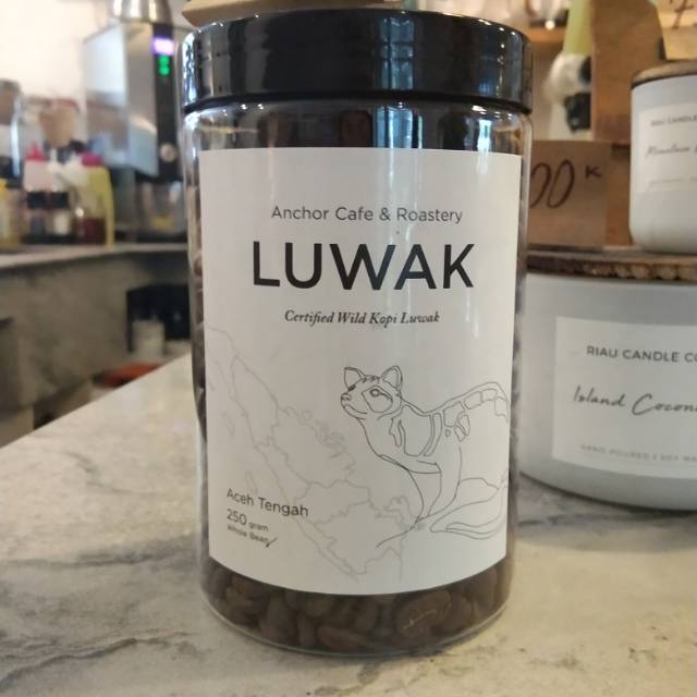

Kopi luwak