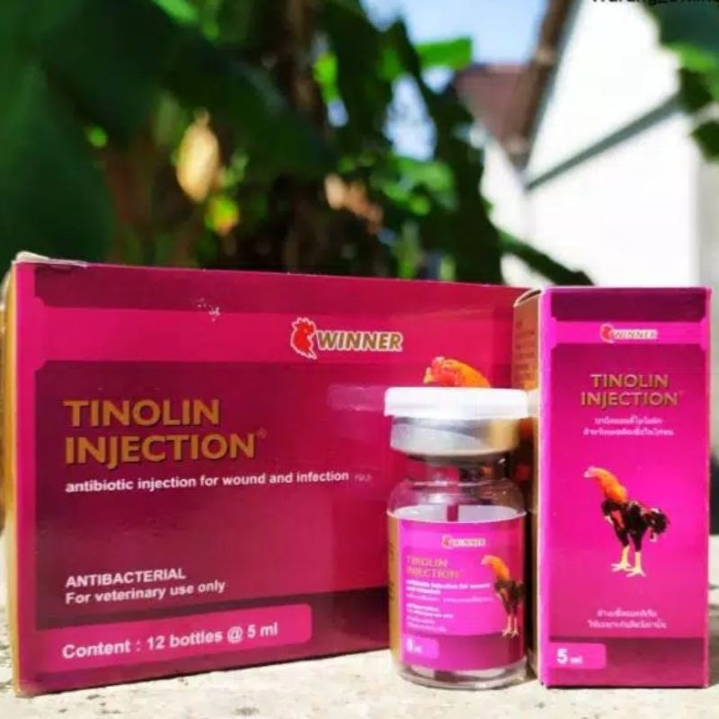 TINOLIN INJECTION obat ayam sesudah tarung adu jalu