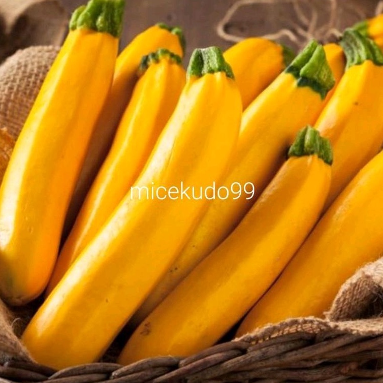 

SUKINI KUNING SEGAR 500GR / FRESH YELLOW ZUCCHINI