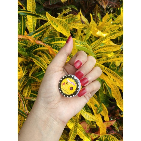 PACCIKU HENNA KUKU TAHAN LAMA 100% HALAL