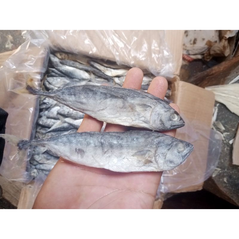 

ikan asin Tongkol asin / tongkol utuh : 500 gram best seler