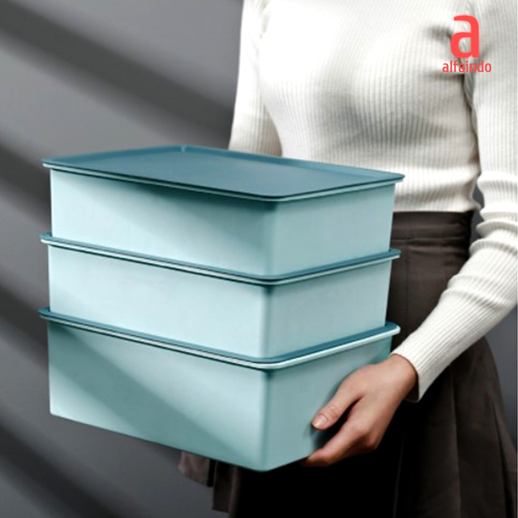 Kotak Penyimpanan Underwear Pakaian Serbaguna Plastik Tempat Kotak Organizer Storage Box - USB010