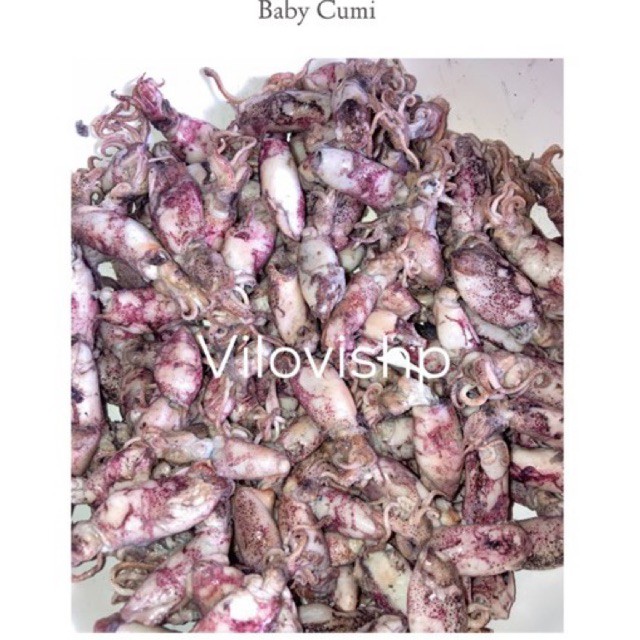

baby cumi 500 gr