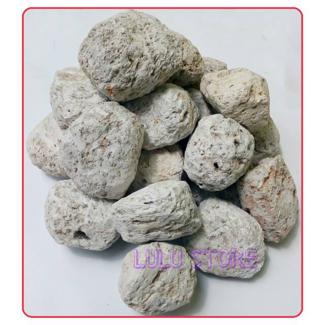 Jual Batu Apung Pumice Stone Kemasan 1kg Indonesiashopee Indonesia