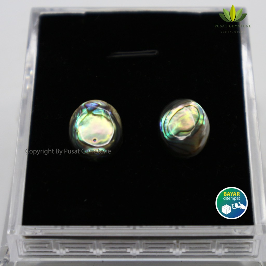 Batu Akik Kerang Jarong