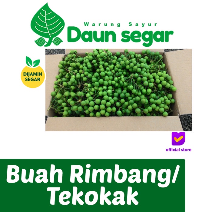

Buah Rimbang / Tekokak / leunca Fresh 100 grm