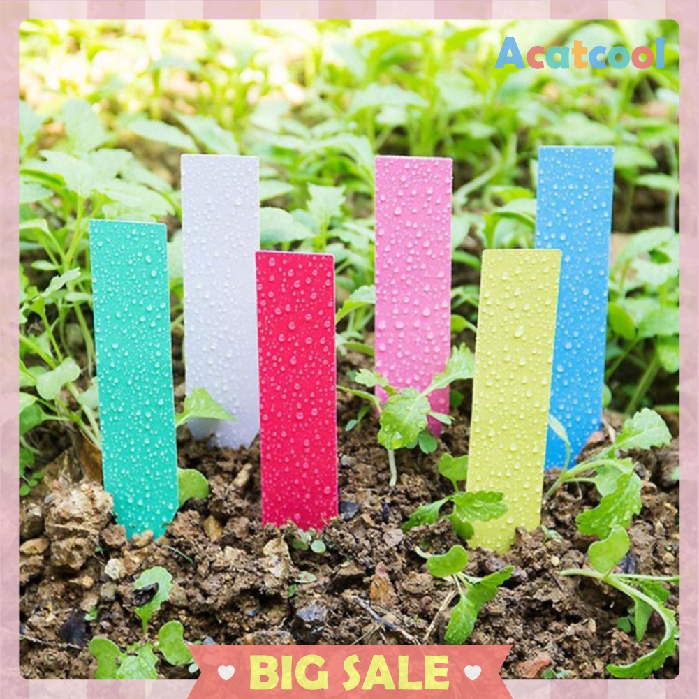 100pcs Plant Labels Plant Tags Stakes Garden Flower Pots Nursery Markers