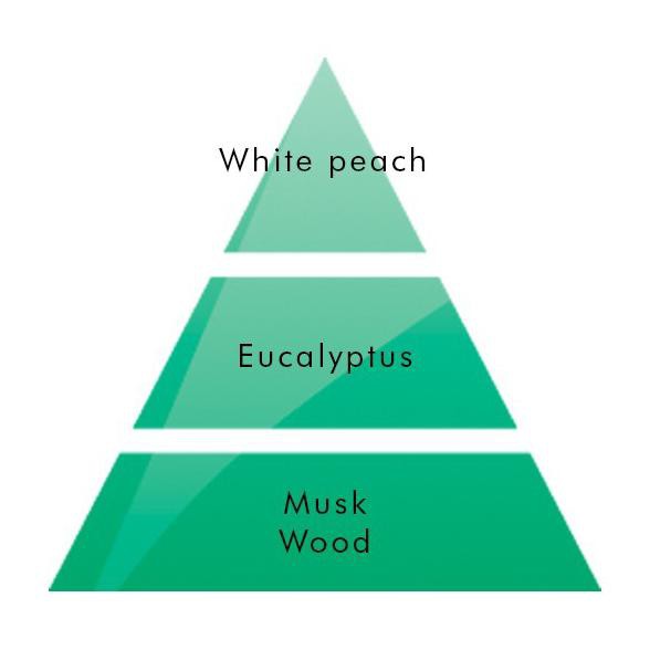 Terbaru Refill Oil Lampe Berger (France) - Fresh Eucalyptus (Kayu Putih)