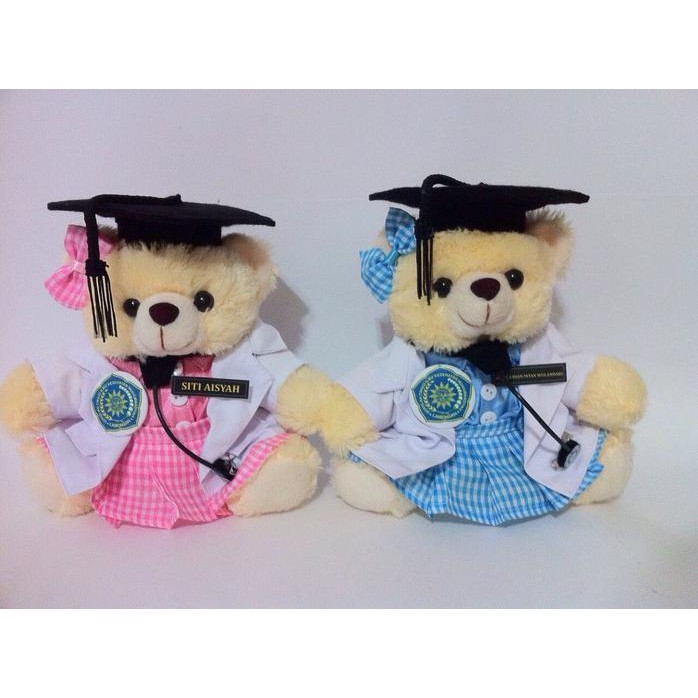 BONEKA WISUDA TEDDY BEAR SUSTER PERAWAT RUMAH SAKIT KADO UNIK LUCU BM1615 GT45