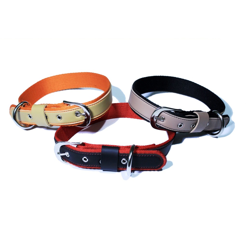 DOG COLLAR KALUNG ANJING MEDIUM